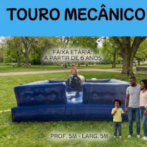 Touro Mecânico